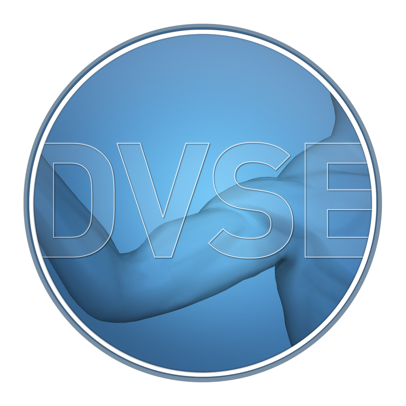 DVSE-Logo